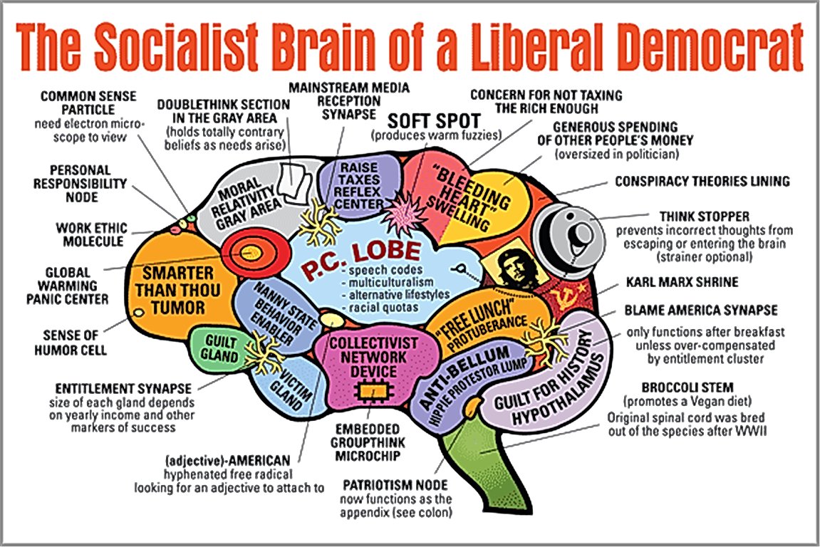 brain_socialist_democrat.png